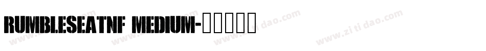 RumbleSeatNF Medium字体转换